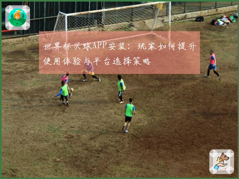世界杯买球APP安装：玩家如何提升使用体验与平台选择策略