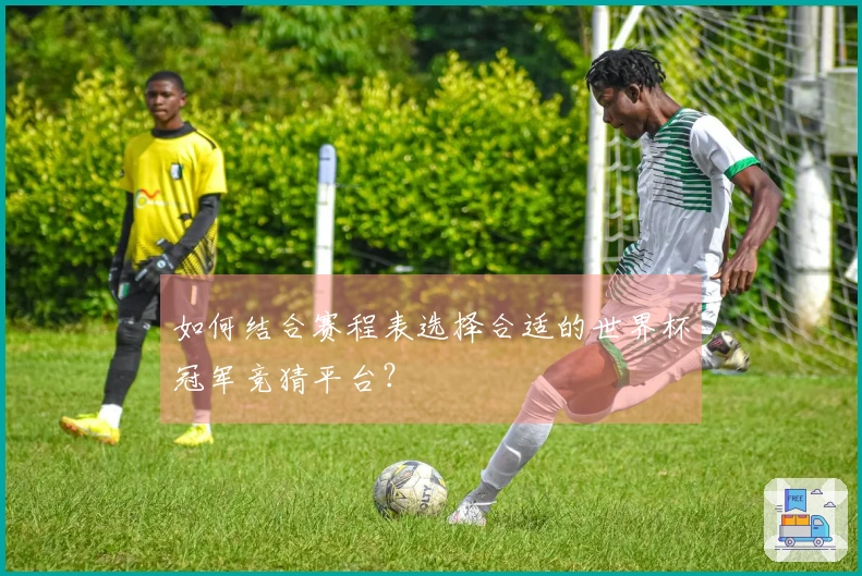 如何结合赛程表选择合适的世界杯冠军竞猜平台？