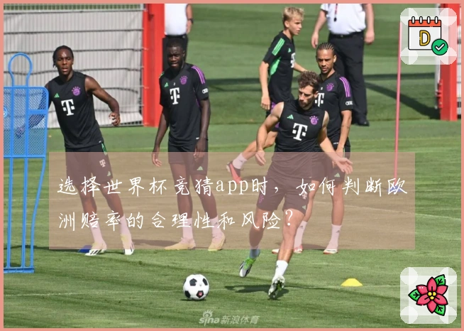 选择世界杯竞猜app时，如何判断欧洲赔率的合理性和风险？