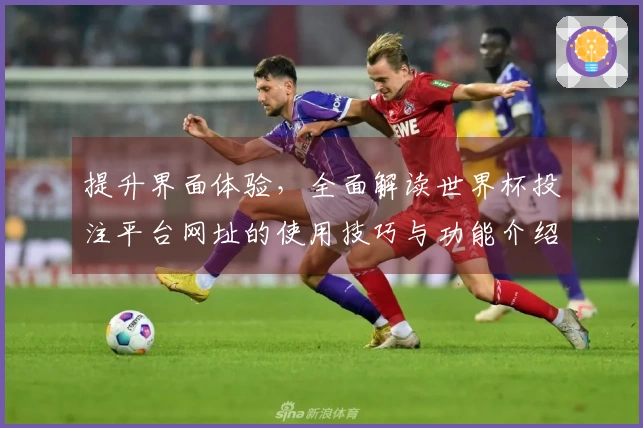 提升界面体验，全面解读世界杯投注平台网址的使用技巧与功能介绍