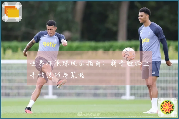 世界杯滚球玩法指南：新手轻松上手的技巧与策略