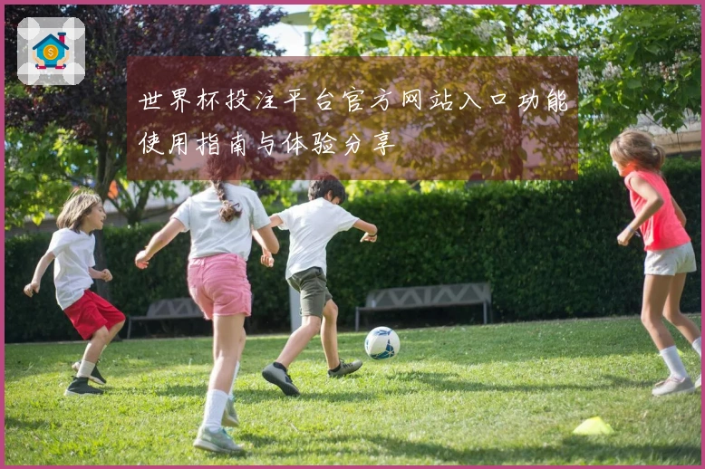 世界杯投注平台官方网站入口功能使用指南与体验分享