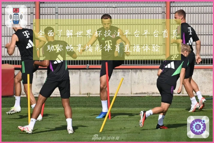全面了解世界杯投注平台平台首页，助你畅享精彩体育直播体验