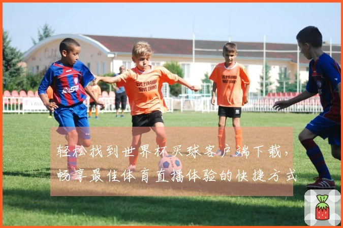 轻松找到世界杯买球客户端下载，畅享最佳体育直播体验的快捷方式