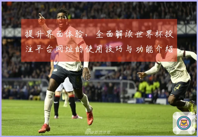 提升界面体验，全面解读世界杯投注平台网址的使用技巧与功能介绍
