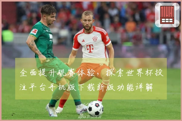 全面提升观赛体验，探索世界杯投注平台手机版下载新版功能详解