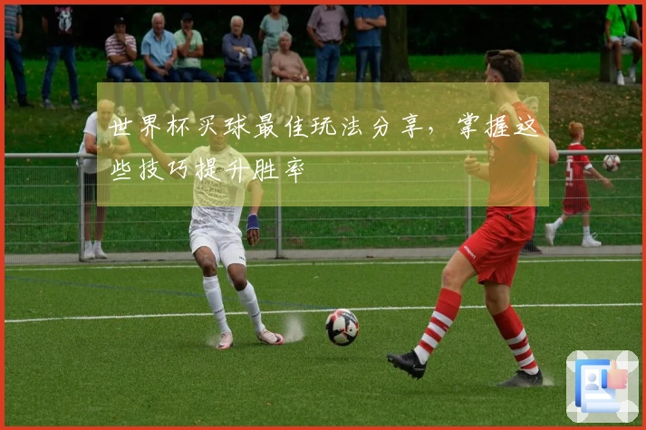 世界杯买球最佳玩法分享，掌握这些技巧提升胜率