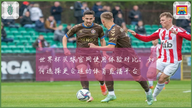 世界杯买球官网使用体验对比：如何选择更合适的体育直播平台