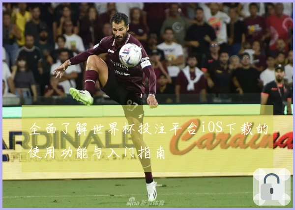 全面了解世界杯投注平台iOS下载的使用功能与入门指南